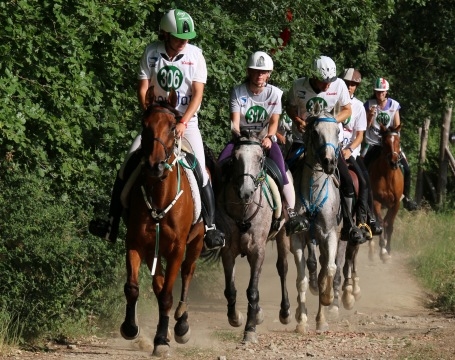  Messo a punto il percorso di gara per Toscana Endurance Lifestyle 2015