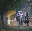 Toscana Endurance Lifestyle 2016 4 Round 1st Day -  