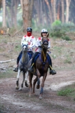 FEI Meydan World Endurance Championship Young and Junior Riders 2019 by Oreste Testa -  
