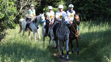 Great expectation in terms of number for Toscana Endurance Lifestyle