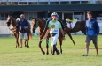 Toscana Endurance Lifestyle 2015 