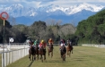 Ippodromo di San Rossore - Corse