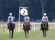 Toscana Endurance Lifestyle 2016 4 Round 2nd Day -  