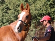 Toscana Endurance Lifestyle 2015 