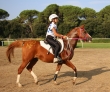 Toscana Endurance Lifestyle 2016 4 Round 2nd Day -  