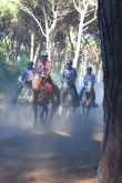 Toscana Endurance Lifestyle 2017 di Chiara Gobbetti - Toscana Endurance Lifestyle 2017 di Chiara Gobbetti