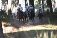 Toscana Endurance Lifestyle 2017 di Chiara Gobbetti - Toscana Endurance Lifestyle 2017 di Chiara Gobbetti