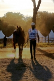 Toscana Endurance Lifestyle 2017 di Oreste Testa - Toscana Endurance Lifestyle 2017 di Oreste Testa