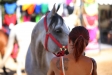 Toscana Endurance Lifestyle 2017 di Oreste Testa - Toscana Endurance Lifestyle 2017 di Oreste Testa