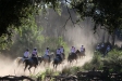 Toscana Endurance Lifestyle 2017 di Oreste Testa - Toscana Endurance Lifestyle 2017 di Oreste Testa