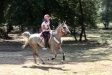 Toscana Endurance Lifestyle 2017 di Oreste Testa - Toscana Endurance Lifestyle 2017 di Oreste Testa
