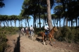 Toscana Endurance Lifestyle 2017 di Oreste Testa - Toscana Endurance Lifestyle 2017 di Oreste Testa