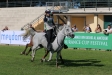 Toscana Endurance Lifestyle 2017 di Oreste Testa - Toscana Endurance Lifestyle 2017 di Oreste Testa