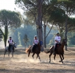 Toscana Endurance Lifestyle 2017 - Second Round - 9