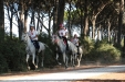 Toscana Endurance Lifestyle 2017 - Second Round - 11