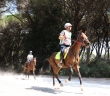 Toscana Endurance Lifestyle 2017 - Second Round - 17