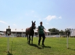 Toscana Endurance Lifestyle 2017 - Second Round - 26
