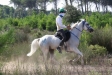 H.H. Sheikh Mohammed Bin Rashid Al Maktoum Italy Endurance Festival 2018 by CHANTAL SIKKINK - H.H. Sheikh Mohammed Bin Rashid Al Maktoum Italy Endurance Festival 2018 by CHANTAL SIKKINK
