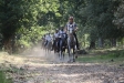 H.H. Sheikh Mohammed Bin Rashid Al Maktoum Italy Endurance Festival 2018 by CHANTAL SIKKINK - H.H. Sheikh Mohammed Bin Rashid Al Maktoum Italy Endurance Festival 2018 by CHANTAL SIKKINK