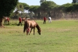 Toscana Endurance Lifestyle 2015 