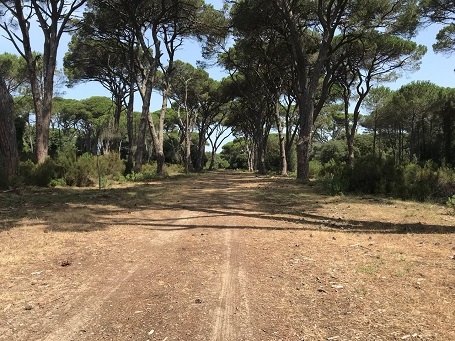 La natura è protagonista del fantastico percorso di Toscana Endurance Lifestyle 2018