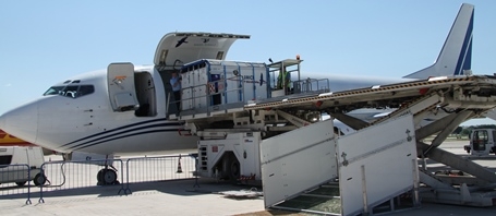 I cavalli degli Emirati Arabi Uniti arriveranno all'aeroporto di Pisa