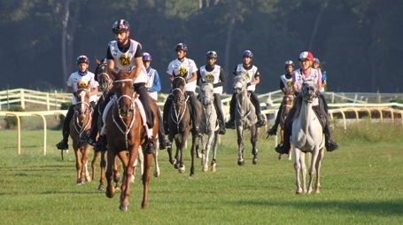 San Rossore candidata per il mondiale 2016