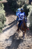 FEI Meydan Endurance World Championship 2019 Young Horses by Oreste Testa -  
