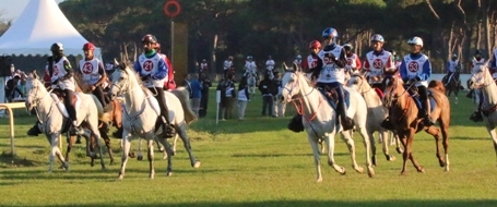 All the horses of San Rossore Endurance Cup are on the track